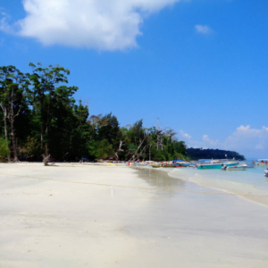 Elephant Beach Water Activity