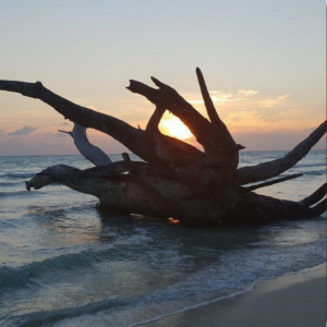 Kalapathar beach -sunrise-view