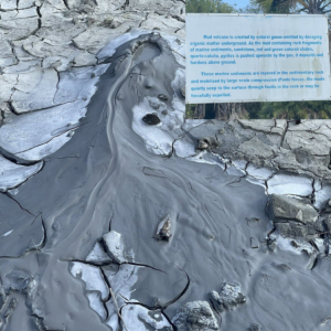 Mud Volcano at Baratang