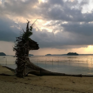 Wandoor-beach-Sunset-view