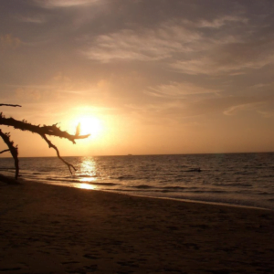 Sunset at Elephant Beach